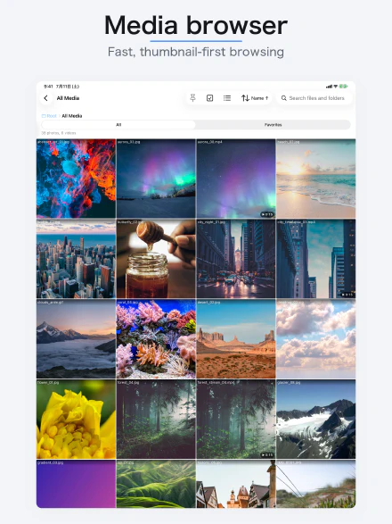 Media browser